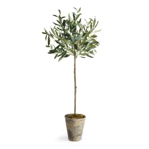 Conservatory Faux Olive Tree Tree in Ceramic Planter 30"