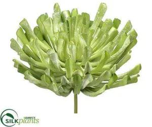 Silk Plants Direct Aeonium Pick - Green Flocked - Pack of 2